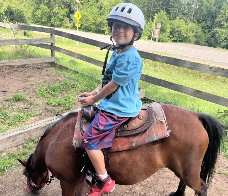 Pony Rides